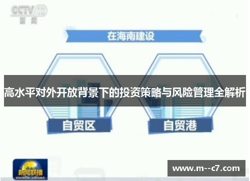 高水平对外开放背景下的投资策略与风险管理全解析
