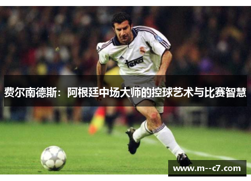费尔南德斯：阿根廷中场大师的控球艺术与比赛智慧