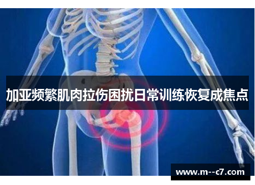 加亚频繁肌肉拉伤困扰日常训练恢复成焦点