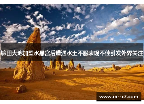 镰田大地加盟水晶宫后遭遇水土不服表现不佳引发外界关注 镰田大地加盟水晶宫后遭遇水土不服表现不佳引发外界关注
